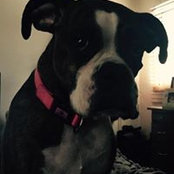 Dianne Flinter's photo