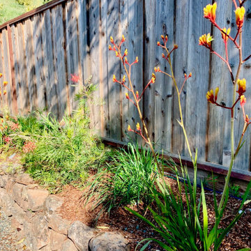 Fremont Landscape Transformation