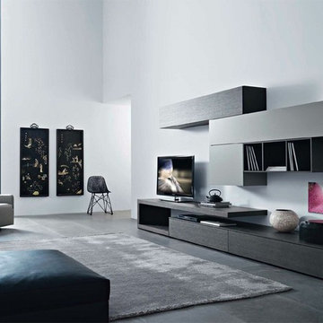Wall Units - Media Centers - Floating Shelving - Bookcases