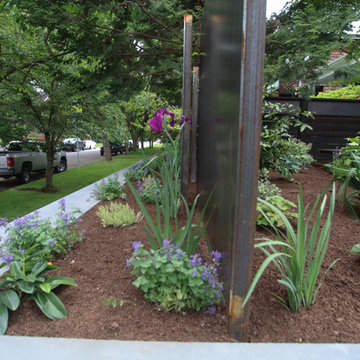 Urban Entry Garden