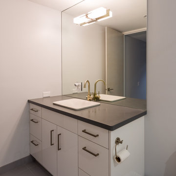 Lake Shore Drive Contemporary Gut Renovation