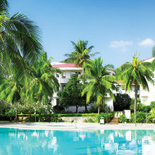 ARTIFICIAL CURVED TRUNK COCONUT PALM TREE