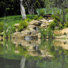 koi ponds