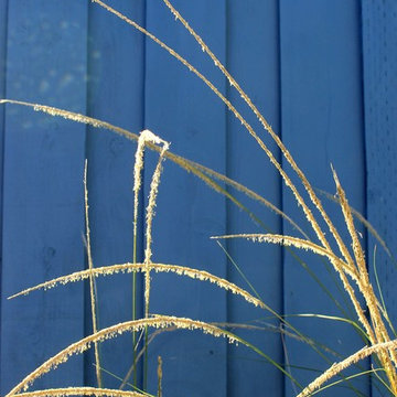 Respite Blue