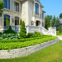 Backyard Landscaping