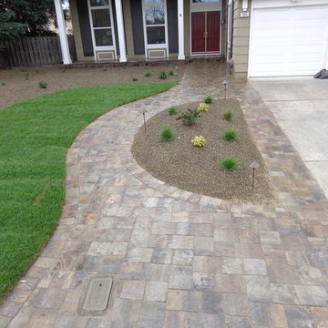 Lawn Replacement/Reduction in Lawn Size