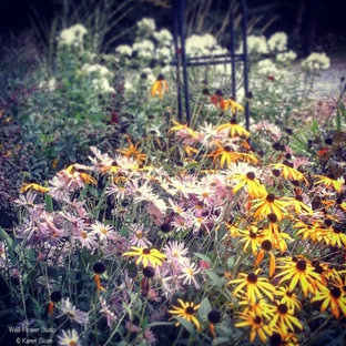 Mittelgroßer Eklektischer Garten mit Gartenweg und direkter Sonneneinstrahlung in Toronto
