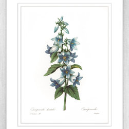 Botanicals - Framed Art Prints (BOT04) - Artwork