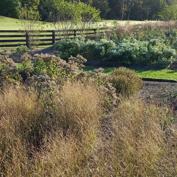 Creighton Farms