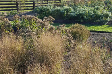 Design ideas for a huge french country full sun landscaping in DC Metro.
