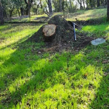 Greenview Tree Care