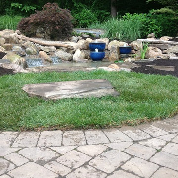 Ecosystem Ponds