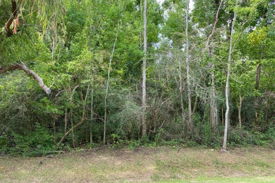 Design ideas for a landscaping in New Orleans.
