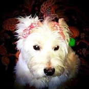 Alma Miller's photo