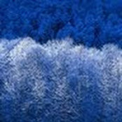 Nicole Black's photo
