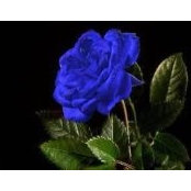 Wendy Pritchett's photo