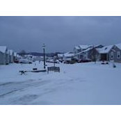 Michael Wirdefalk's photo