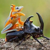 John Chwalibog's photo