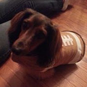 Katie Kennedy's photo