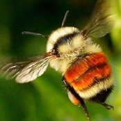 Tracy Tucker's photo