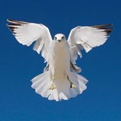 Rich Cox's photo