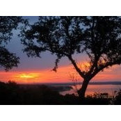 Patricia Hardin's photo