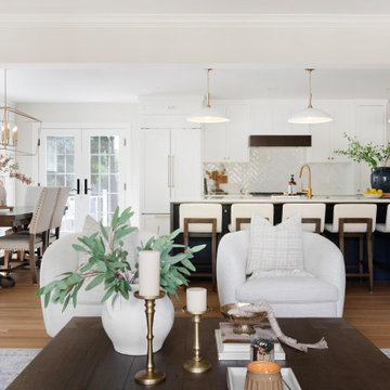 Edina Court - Whole Home Remodel