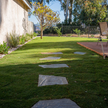 Backyard Sod & Landscape Refresh