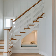 Stairs Dog