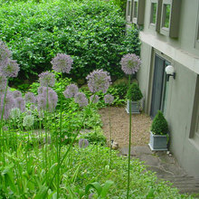 Parkview Yard
