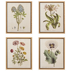 Botanical Study Leaf Berry Flower Wall Art Gold Frame Set Of 6 ~ Uttermost  33651