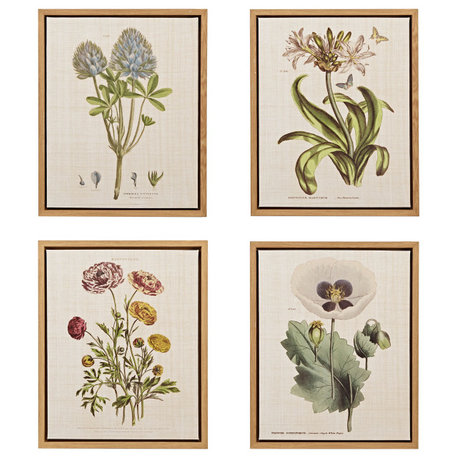 Martha Stewart Herbal Botany Framed Linen Canvas 4 Piece Set