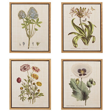 Martha Stewart Herbal Botany Framed Linen Canvas 4 Piece Set
