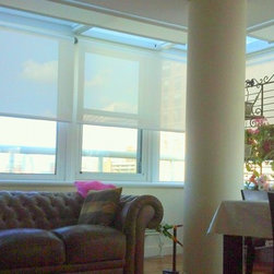 A Few Recent Works - Roller Shades