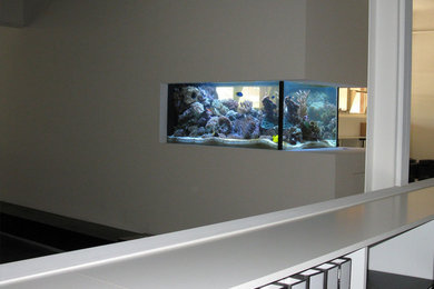 Office aquarium