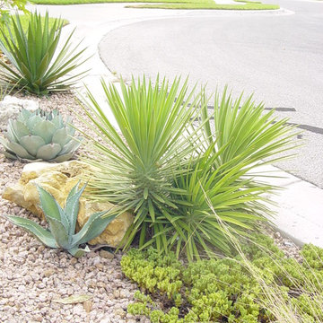 Xeriscape Lanscaping in Austin, TX