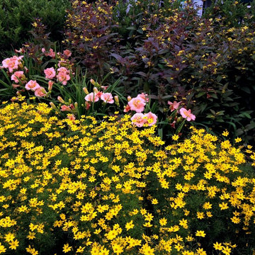 Gardens: Perennial and Mixed Borders