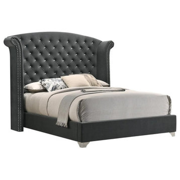 Pemberly Row California King Wingback Velvet Upholstered Bed in Gray