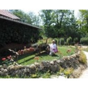 Mima Bozilovic's photo