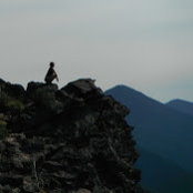 Paige Evans's photo