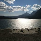 Cheri Freeman's photo
