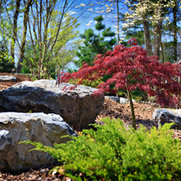 Mountain Road Landscaping's photo