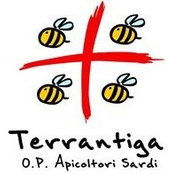 Giuseppe Caboni's photo