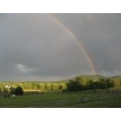 Meredith Michaels's photo
