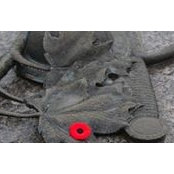 Steve Goos's photo