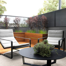 back garden
