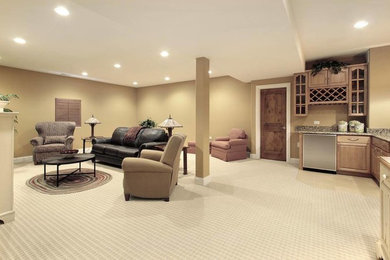 Transitional basement in Denver.