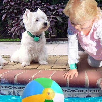 Pool Safety Alarms