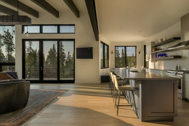 Inspiration for a modern home design remodel in Denver