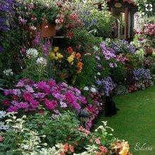 Gardens